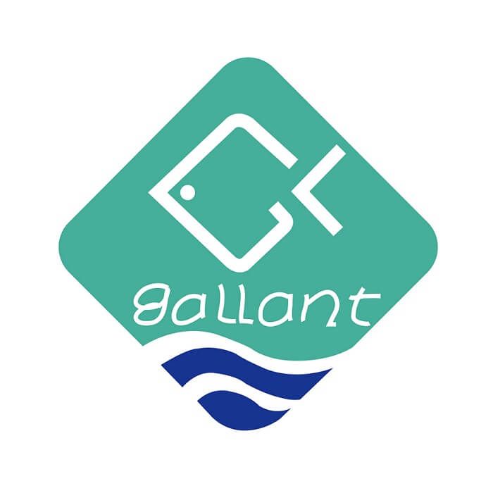 GALLANT OCEAN INTERNATIONAL, INC. GALLANT OCEAN INTERNATIONAL, INC.